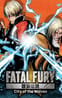 Fatal Fury: City of the Wolves