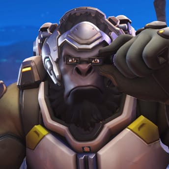 Winston Overwatch